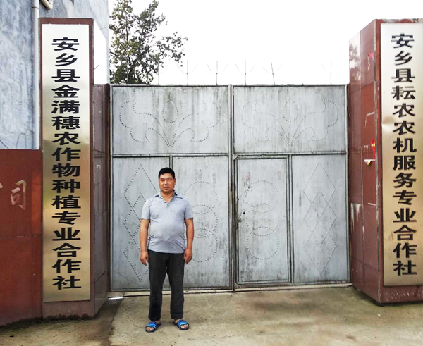 安乡县金满穗农作物种植专业合作社,安乡县粮油作物种植,农作物加工,农作物销售 安乡县金满穗农作物种植专业合作社,安乡县粮油作物种植,农作物加工,农作物销售