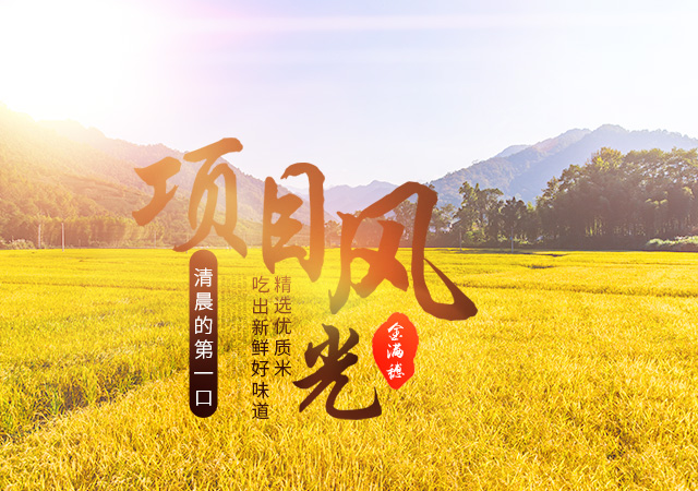 安乡县金满穗农作物种植专业合作社_安乡县粮油作物种植|农作物加工|农作物销售